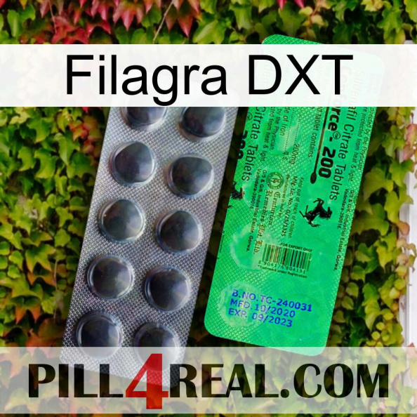 Filagra DXT new04.jpg